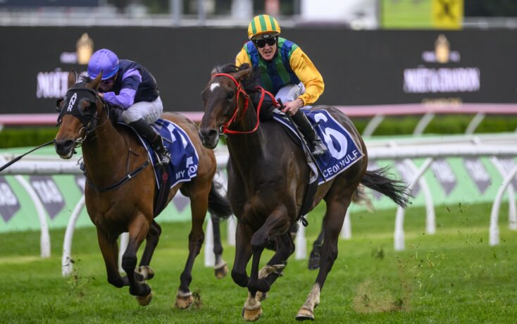 球迷们值得 球迷们值得